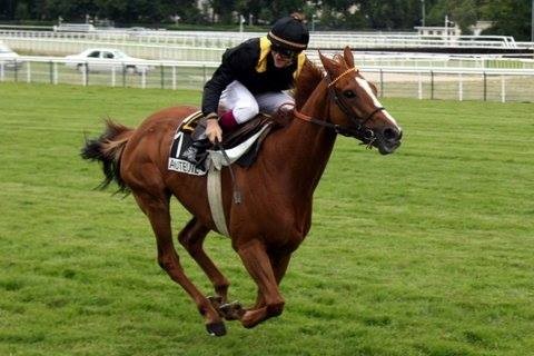 christophe soumillon in auteuil