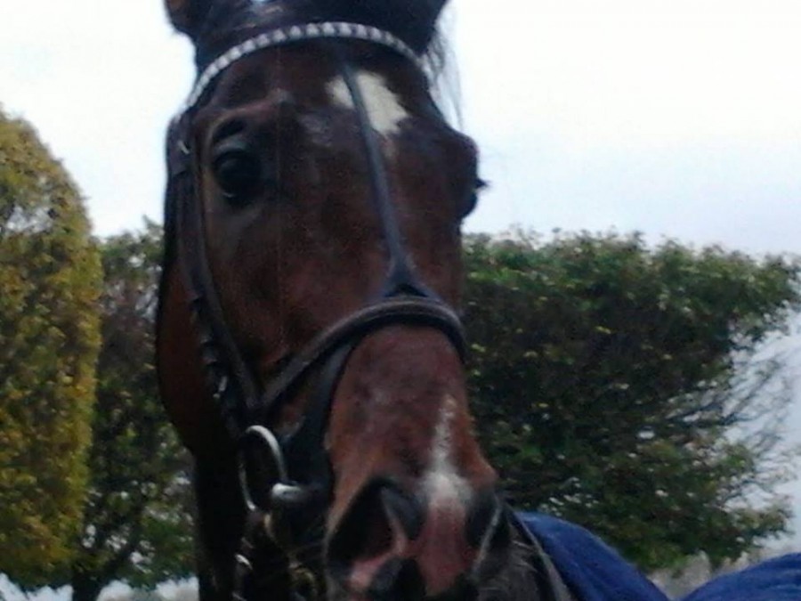ectot � saint cloud criterium int