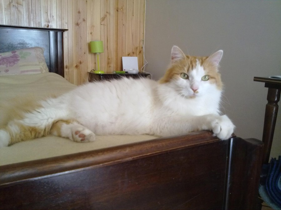 mon vieux !!!!