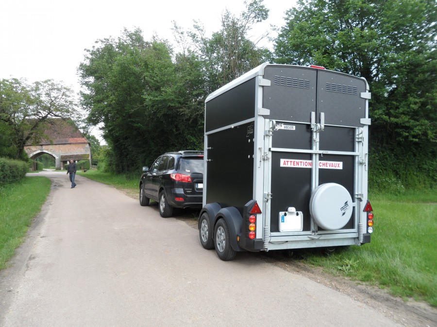 autocollant attention chevaux