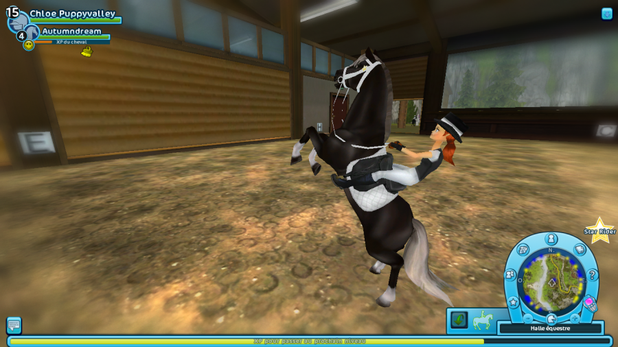 star stable codes 2017 star coins star stable codes 2017 star coins