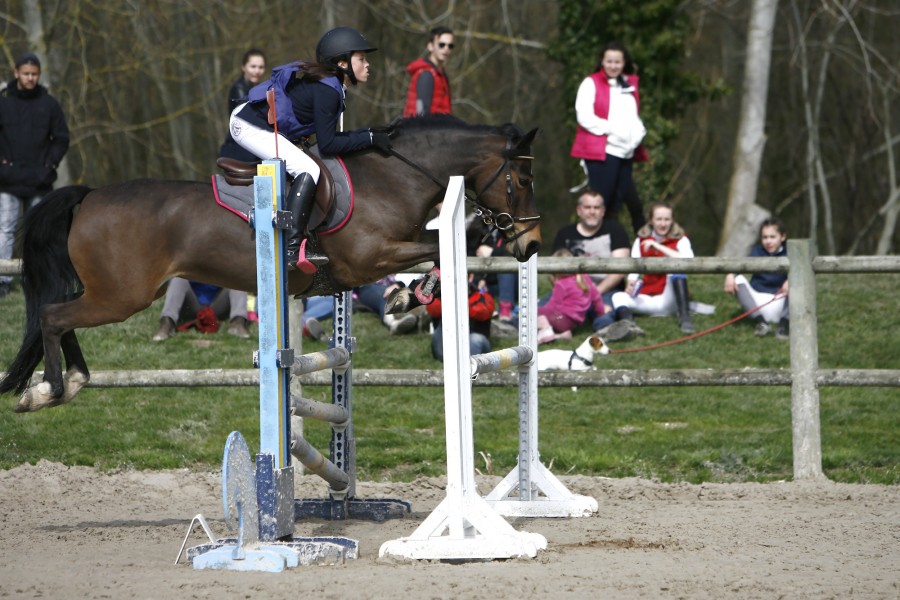 3me en P1 D au championnat rgional Champagne-Ardenne