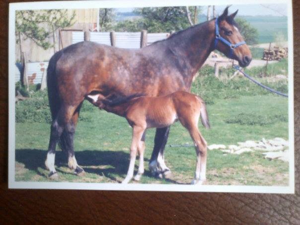 bety et irvac'h