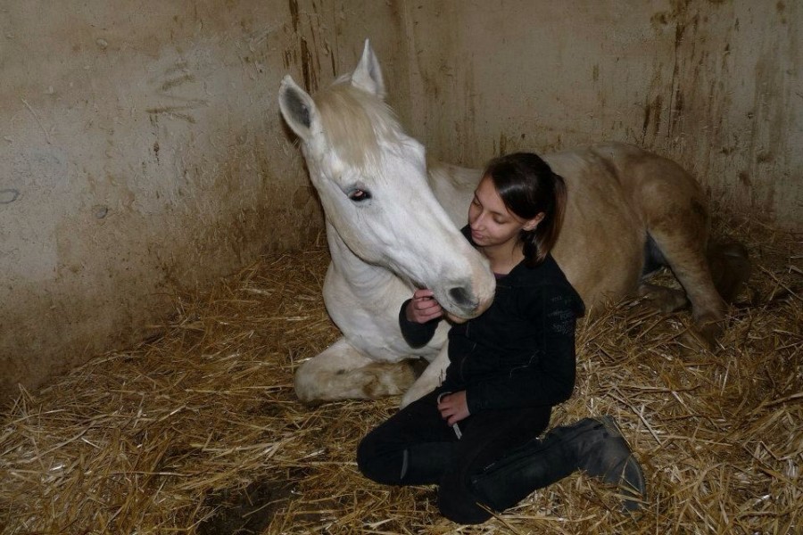 Reprise de l'�quitation apr�s 5 mois <3
