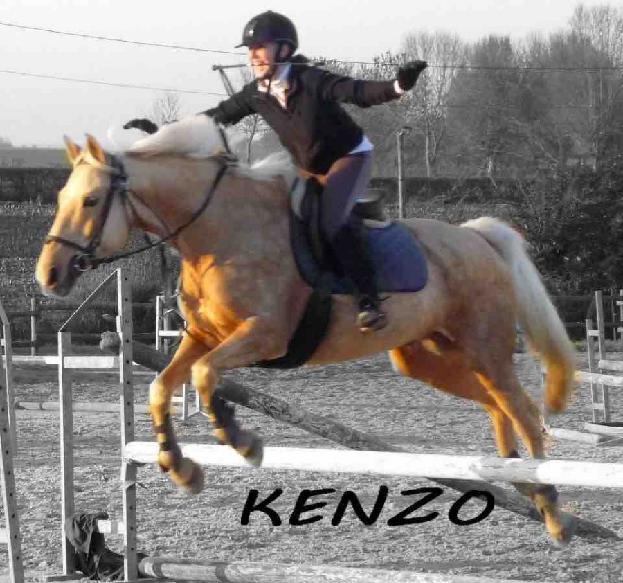 Mon loulou une compliciter avec ce cheval 