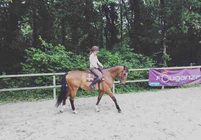 Mon N�palus d'amour