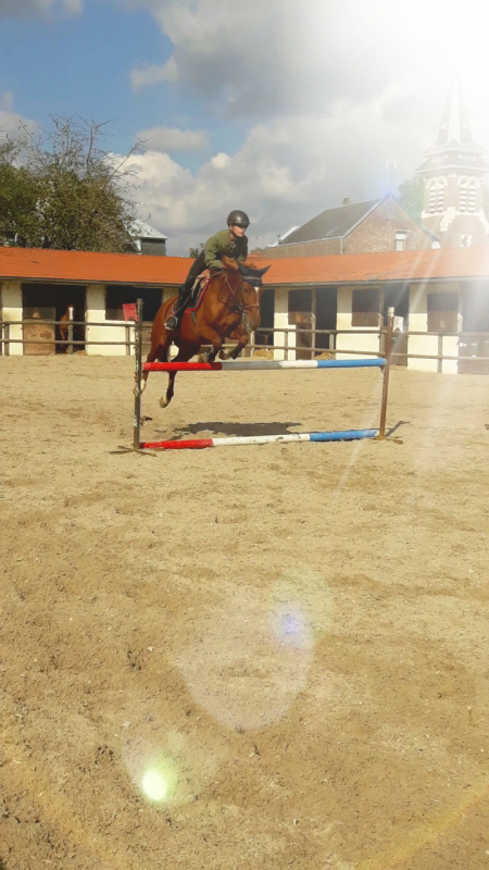 passion une super jument ?