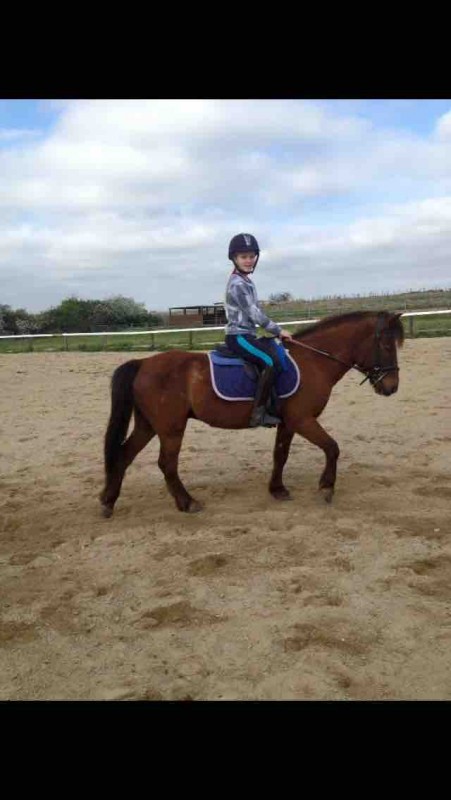 Mon tapis violet qui vient de Equit M