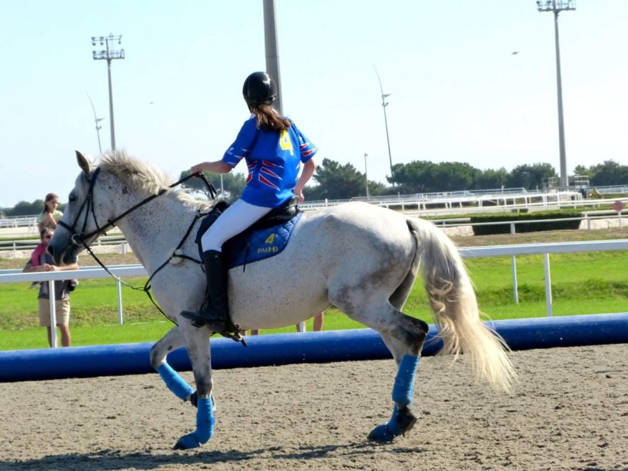 ma fierte cette jument