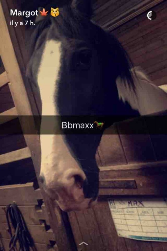 Mon petit favoris maxx