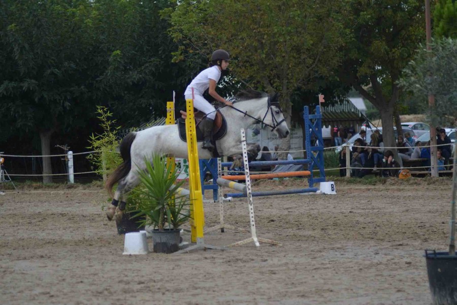 Concours du 02/10/16 avec Gamin 