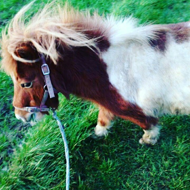 voulez vous vous abonnez sur le club du tsb sur youtube svp on na pas encore de video mes normalement il va en navoir une tres pochainement