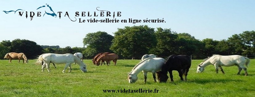 Vide Ta Sellerie - www.videtasellerie.fr