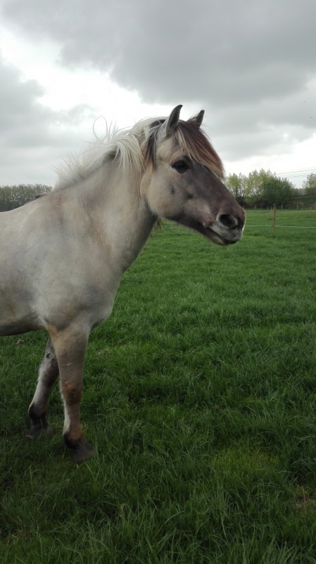 ma demi pension rainbow:)