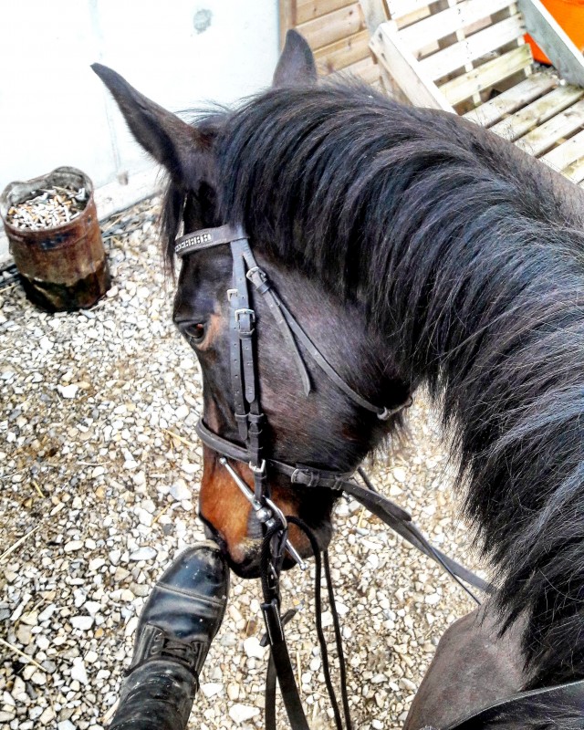 29/01/17