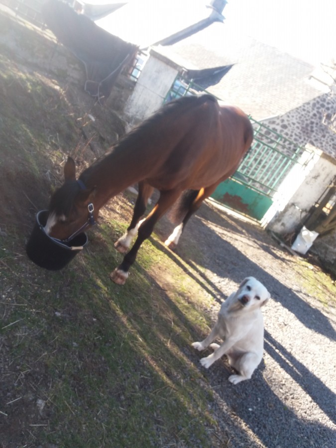 Alice et Zen 