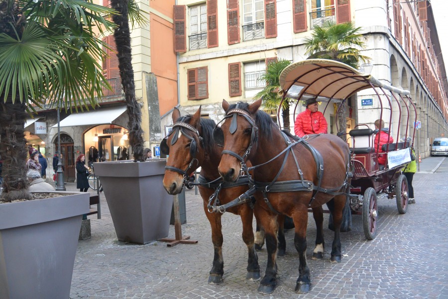 FIMM Chambery transport de personnes