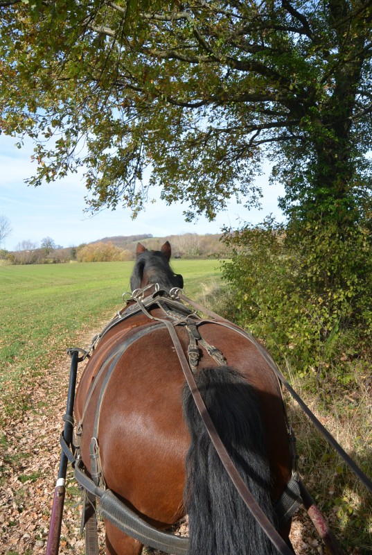 en automne