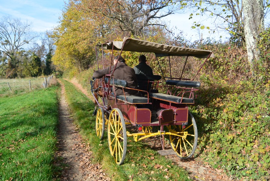 sur le c�teau