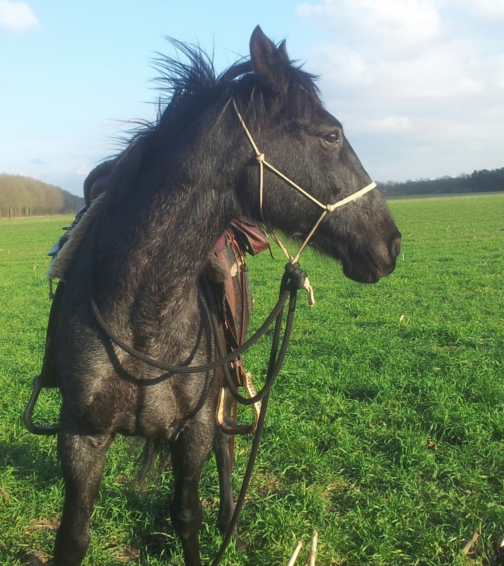 apr�s 36 km encore en forme