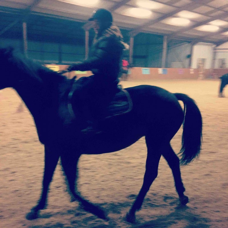 Moi sur un pure sang arabe 