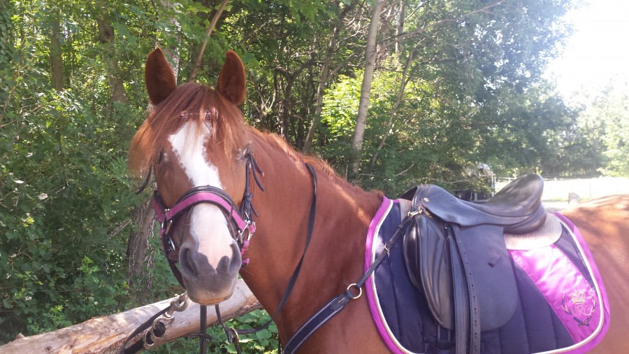 Son petit air coquin.