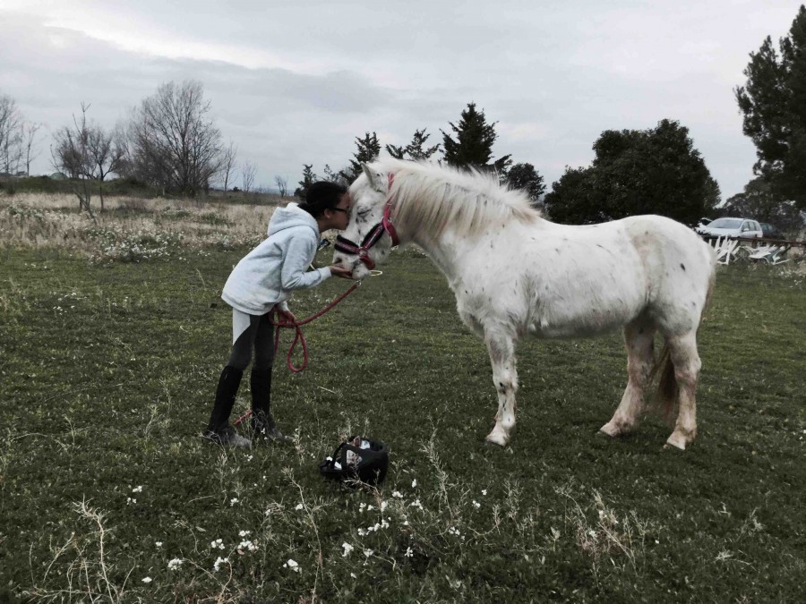La confience avec un cheval c\'est pris mordial 