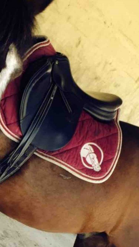 Selle equipe modele sinergy
