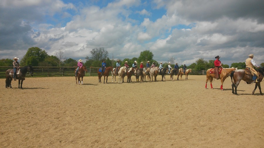 Cours et Stages option Dressage