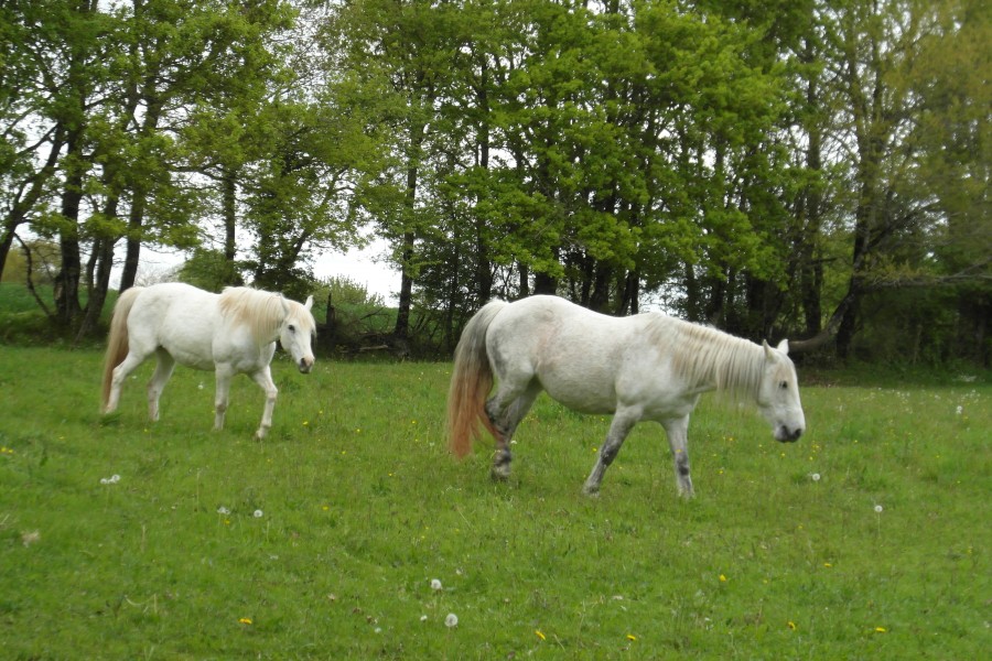 Et oui, 'est vrai  le bonheur est dans le pr avec ma nouvelle copine Gotcha