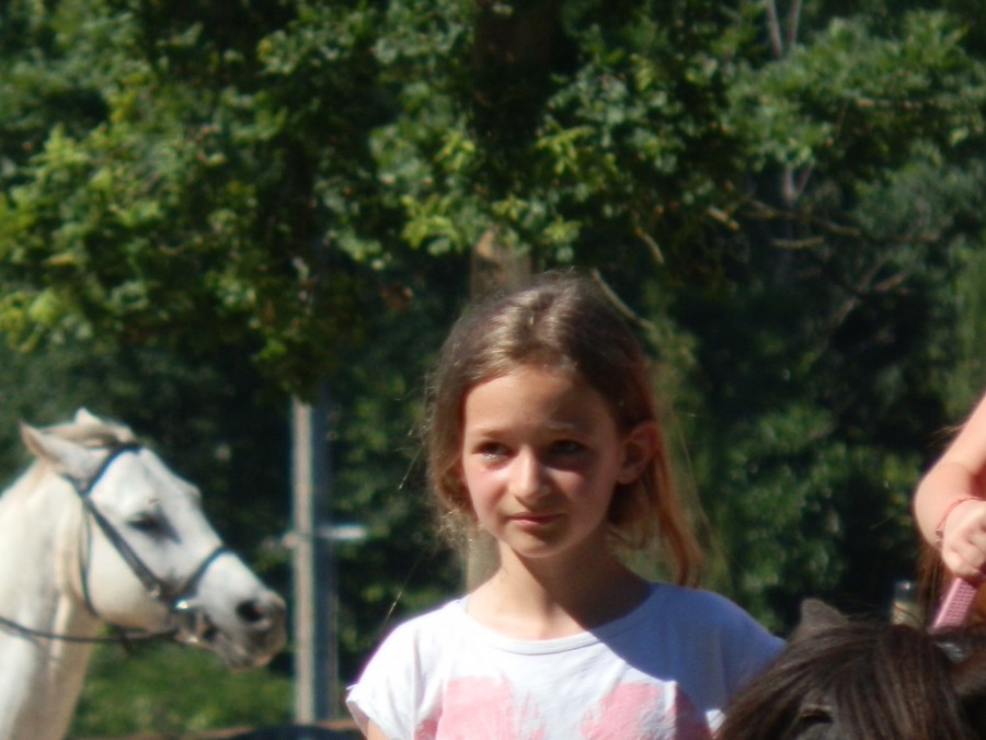 bonjours , je mapelle india , jai 13 ans , je suis passioner des chevaux depuis mon plus jeune age , je suis cavaliere galop 3 niveaux 4 , je faut deja des concours externes , jai une cousine qui a deux jument , je men ocuppe avec elle , ma cousine est ga