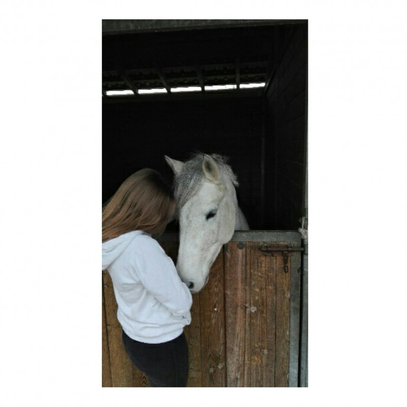 Moi
je suis une cavaliere de 13 ans 
Sa fait 8 ans que je montes .
Je montes pour le loisir et la complicit� du cheval et de l'homme Je cherche aussi � progresser de cour en cour pour realiser mon reve quand je serais plus grande avoir un cheval!