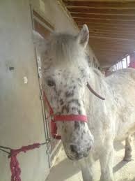 �a c\'etait papy il est trop chou