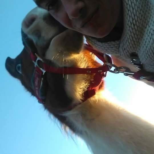 l amour de ma vie est moi 