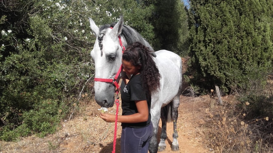 Certains nous reconnaitrons! Nous sommes @apolo.dream Heureuse d'�tre inscrite sur ce forum