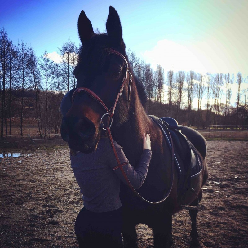 Petit Olympe
