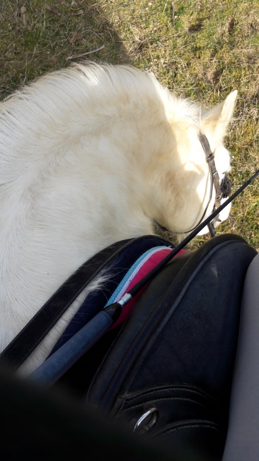 Broutage avec Magique ?