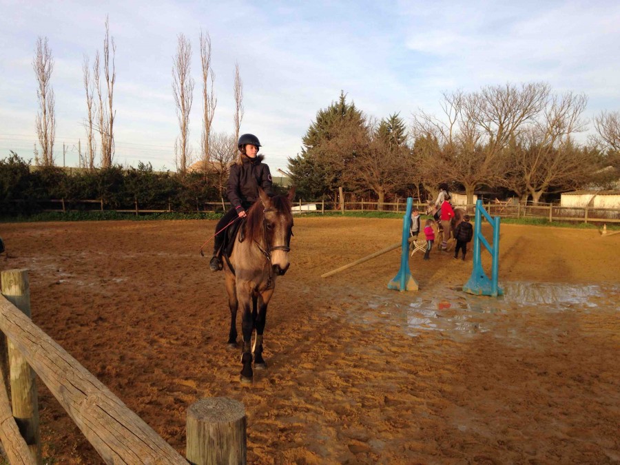 Bonjour a tous voici ma jument et moi je m\'appelle lisa j\'ai 13ans j ai mon galop 2 ma disipline prefere en equitation c est le cso ma jument s\'appelle calife elle a 5ans jument lusitanien ma jument et plutot dressage mais elle saute trop bien bientot 