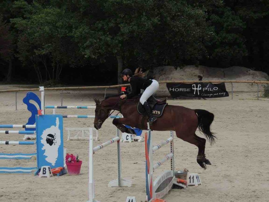 � vendre ou � louer

Nom: Unic de Sury
Sexe: Hongre
�ge: 9 ans
Race: Selle Fran�ais Section B
Taille: 1m74
Robe: Bai
P�re: Verdi
M�re: Kheops de Sury
P�re de la m�re: If de Merze
Excellent cheval de CSO, sort sur 130, tr�s gros potentiel (140 145 voir plu