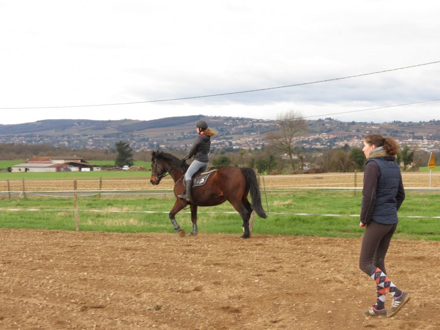 1er cours avec fifi 28/02/17