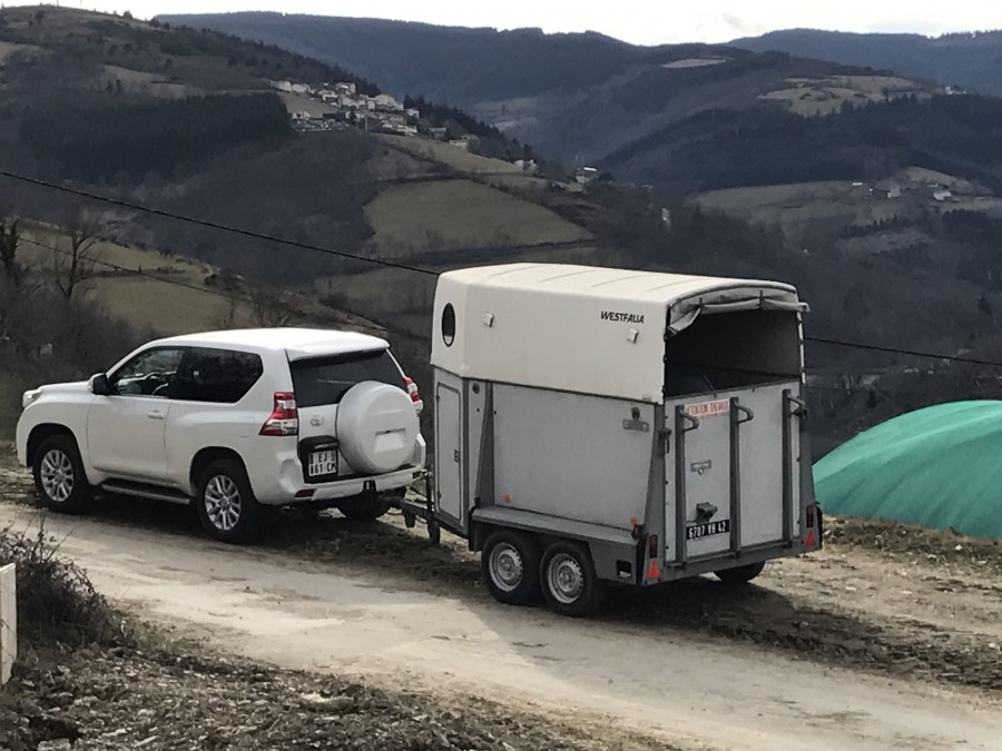 prix des vans pour chevaux