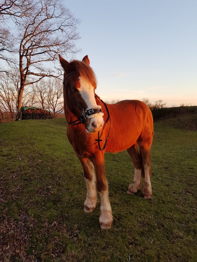 coucher de soleil ?