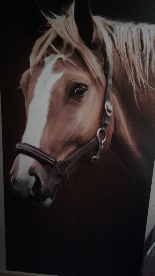 Super poster pour une passionn�e de cheval non ?!