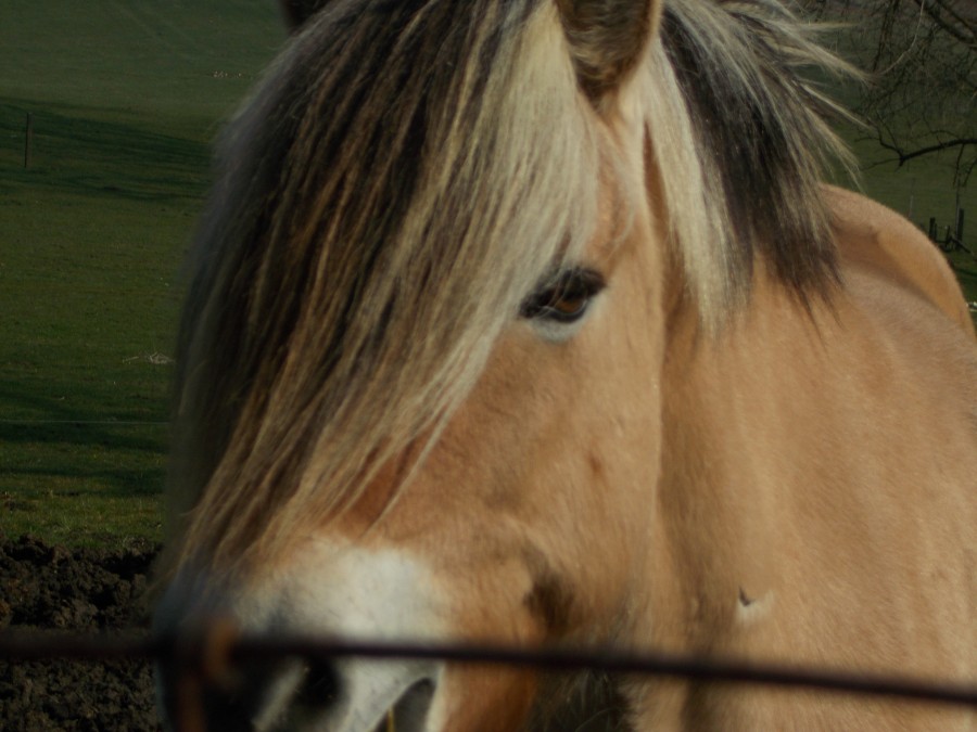 Ces yeux :)