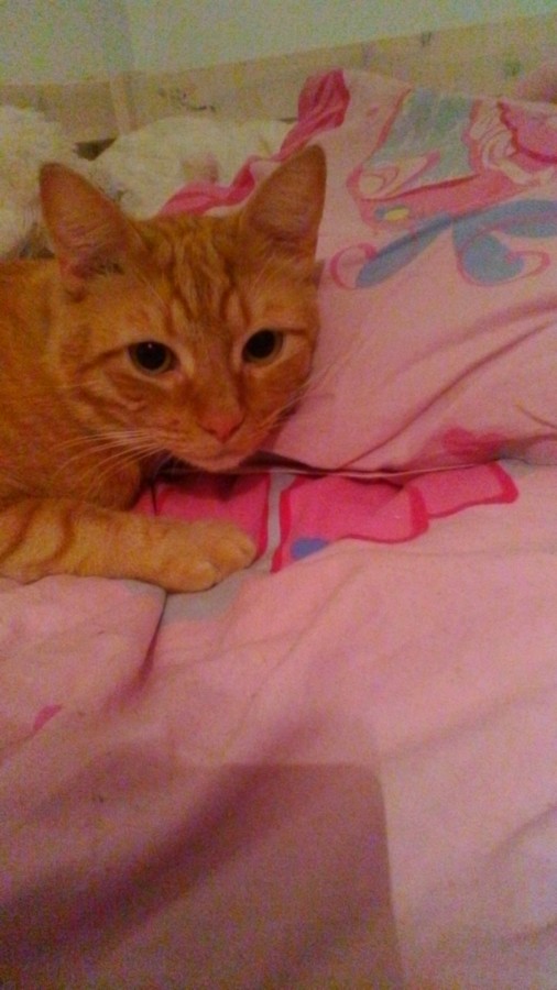 Picasso dans mon lit xD