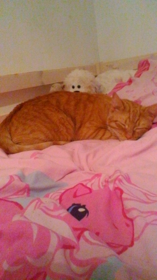 Picasso dans mon lit xD