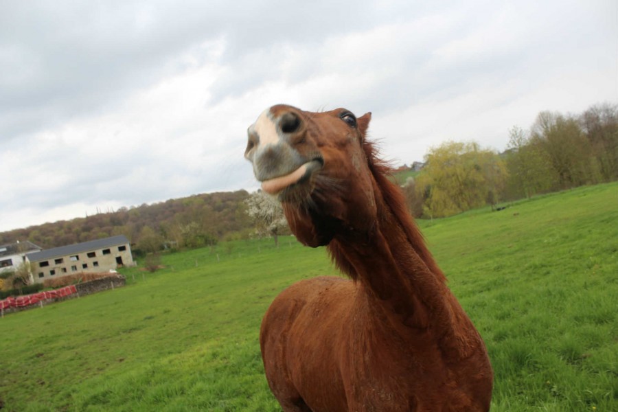BISOUUUUU 