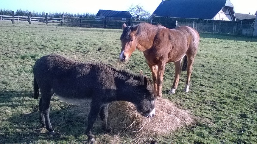 Avec mon copain Coca