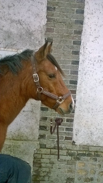 Quelques jours apr�s l'avoir r�cup�r� 