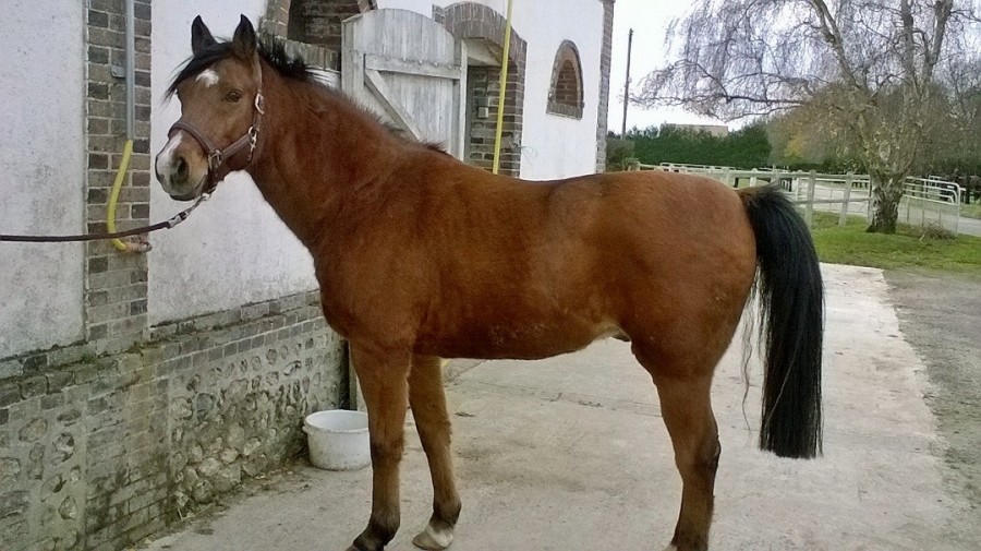 Tout beau tout propre